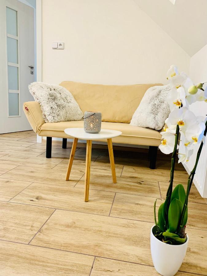 Apartmany Jetrichovice - Ceske Svycarsko ภายนอก รูปภาพ