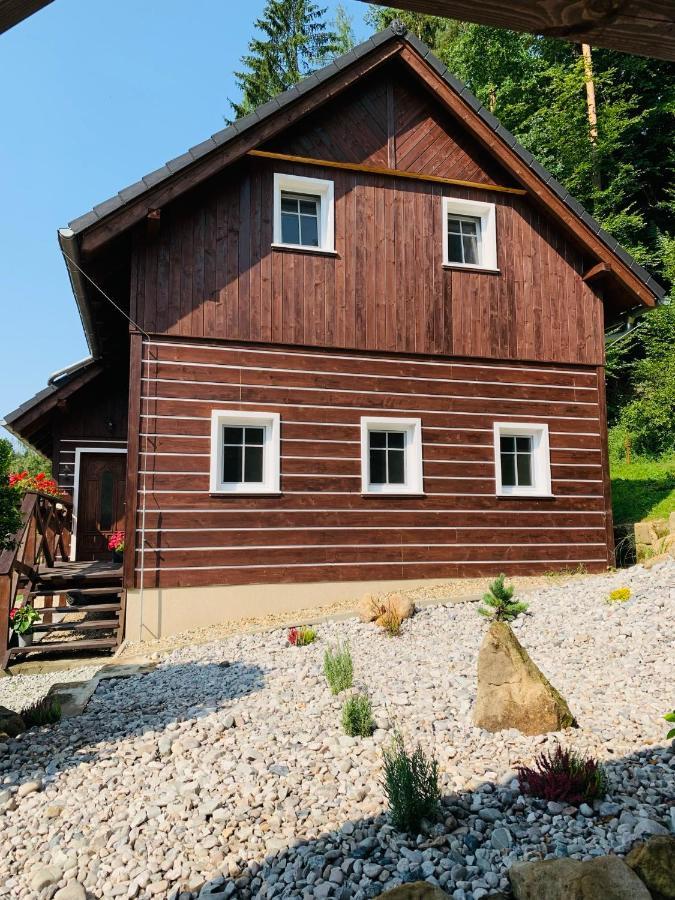 Apartmany Jetrichovice - Ceske Svycarsko ภายนอก รูปภาพ
